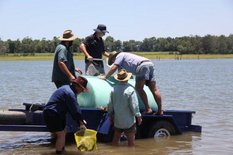 About fish stocking members 768x512